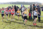 Boys under-13s 2019 British Athletics Inter Counties Cross Country, Prestwood Hall, Loughborough. Photo:  David T. Hewitson/Sports for All Pics